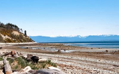 Discover Your Dream Home with Qualicum Beach Real Estate